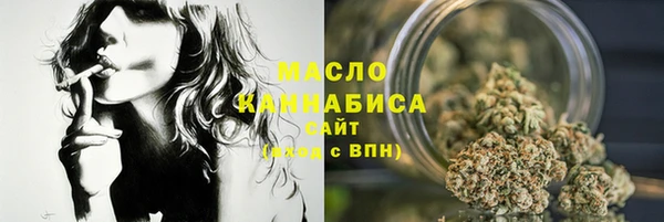 таблы Гусев