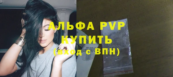 таблы Гусев