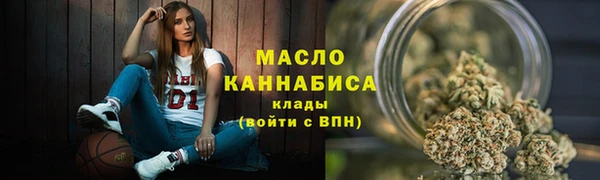 таблы Гусев