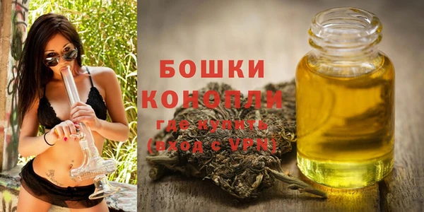 таблы Гусев
