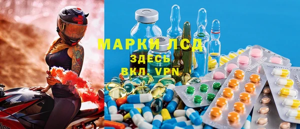 таблы Гусев