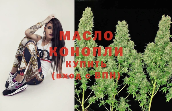 таблы Гусев
