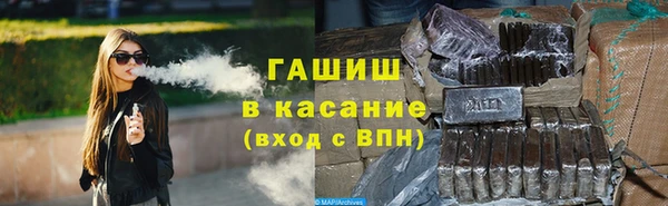 таблы Гусев