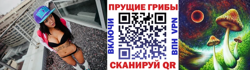 цена   Дорогобуж  это какой сайт  Галлюциногенные грибы мухоморы 